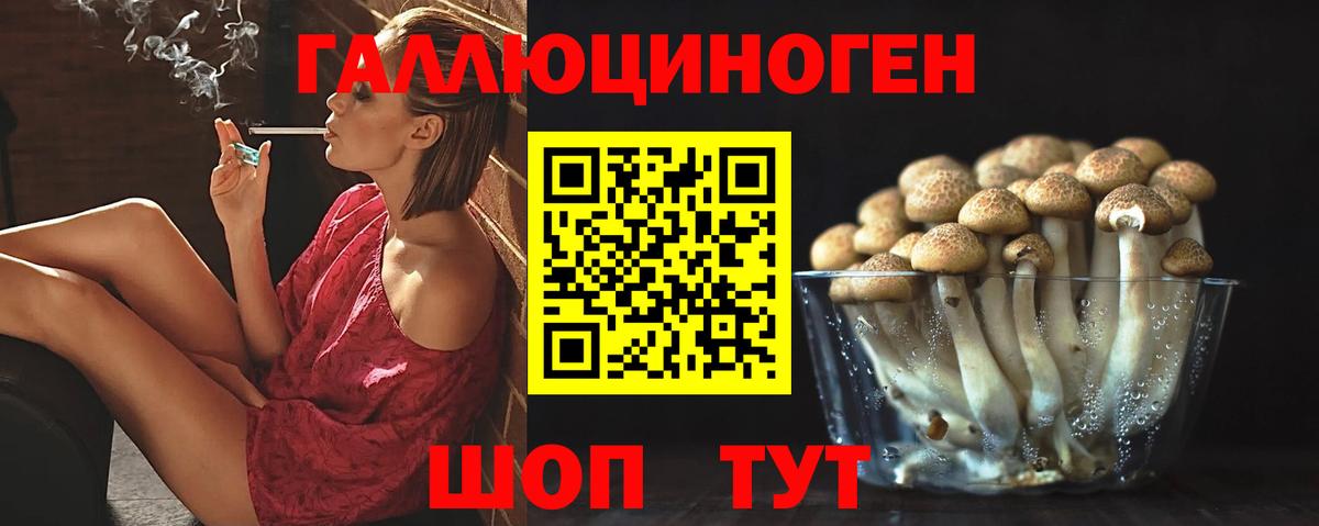 Псилоцибиновые грибы ЛСД  Псилоцибиновые грибы ЛСД  Артём 